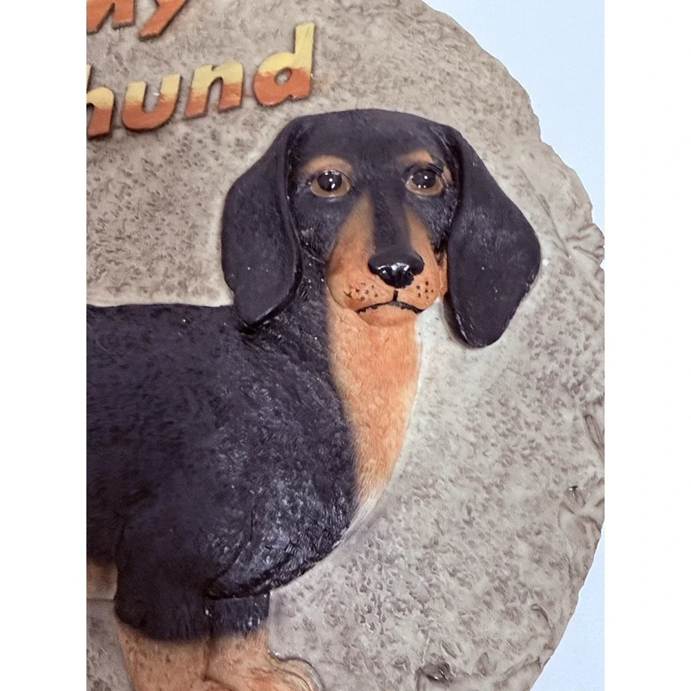 N/A dachshund dog